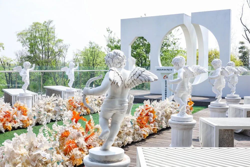 古都蓉城的“专属婚书”：甜蜜“流量”唤醒城市浪漫基因