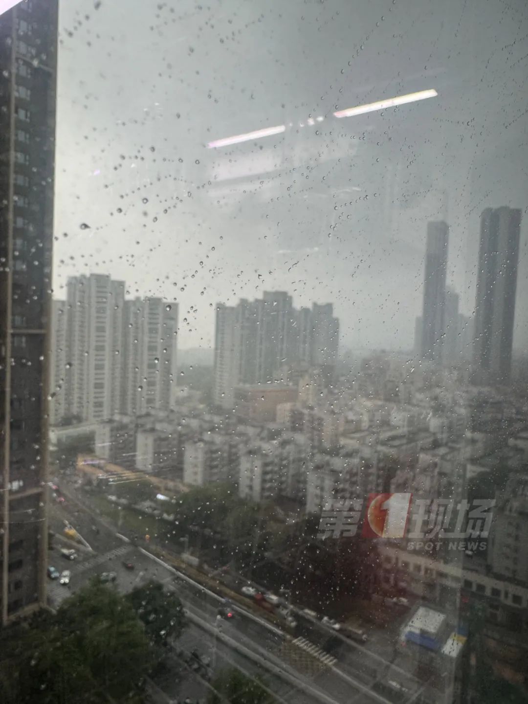 闭园、停运、停航！深圳双预警信号生效中！