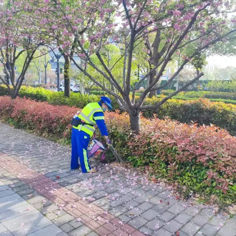 申城雨势减弱，此地现14级风速...毛不易、李荣浩等演唱会延期！
