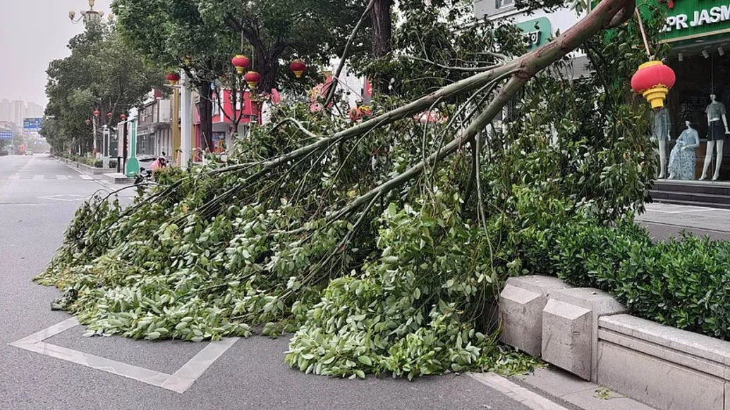河南最大风力15级,大风都出现在哪里? 河南最大风力15级,大风都出现在哪里?