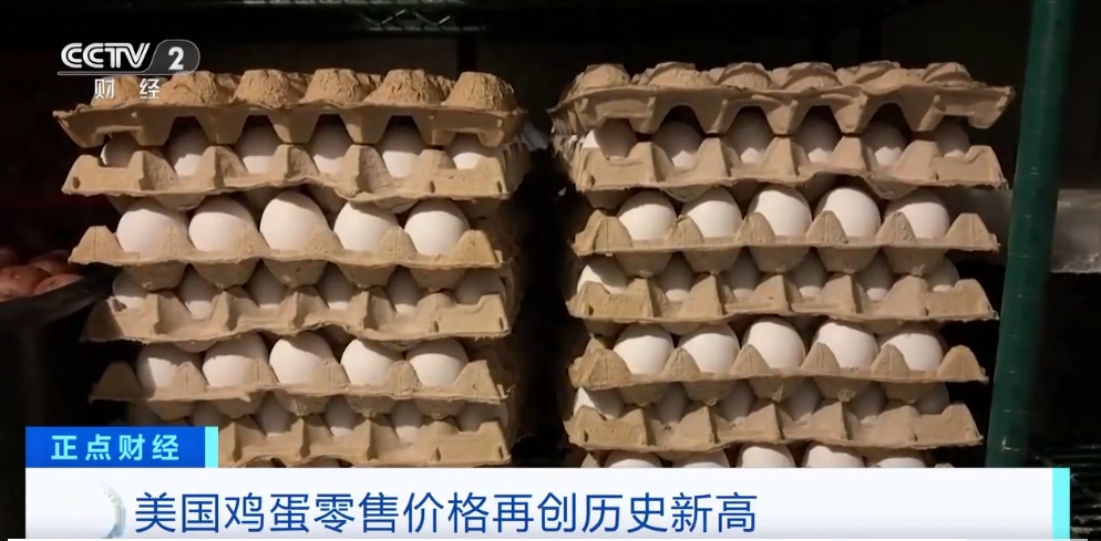 美国鸡蛋价格创新高！特朗普又要变卦？
