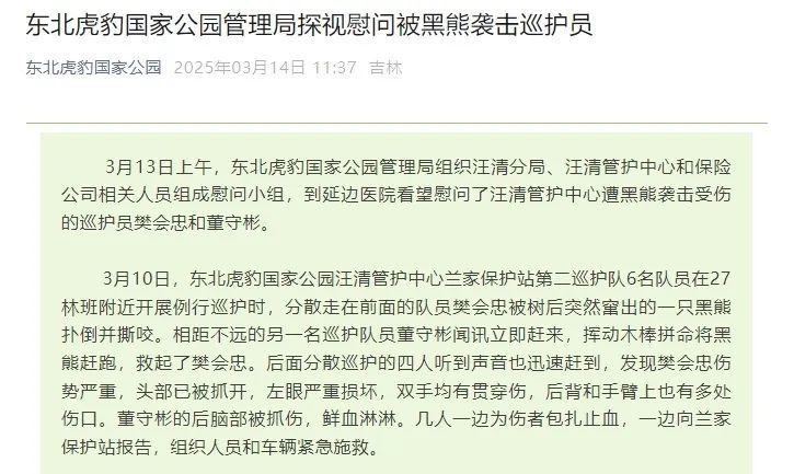 “一下子就冲了过来!”几百斤母熊带两崽围困4名工人约3小时 “一下子就冲了过来!”几百斤母熊带两崽围困4名工人约3小时