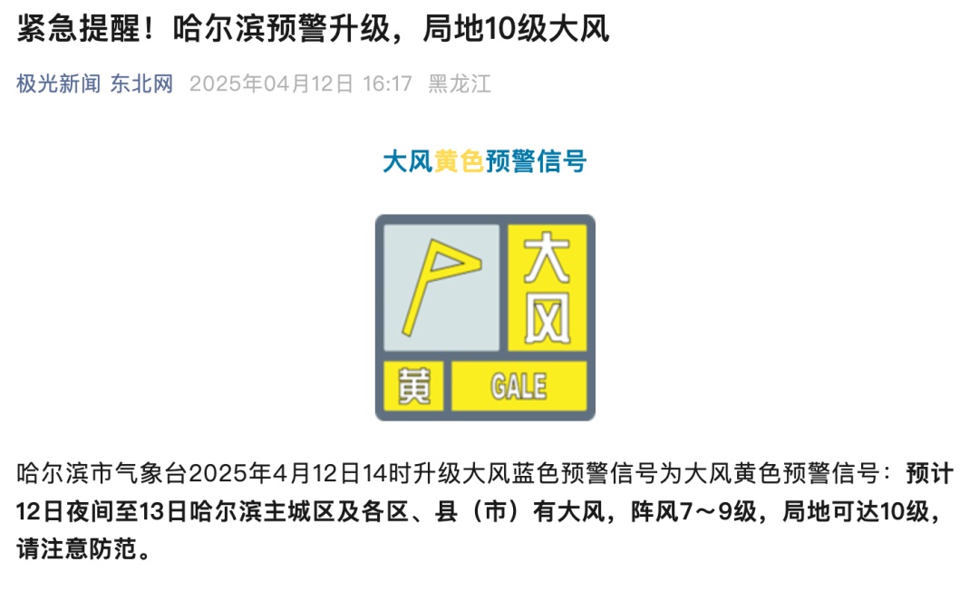 小狗吹成海豹！大风天刷屏，这名大二学生提前预测到了……