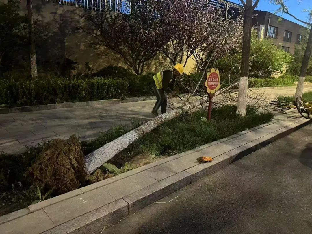 北京13个区出现10级以上阵风！倒了400多棵树，还有车辆被砸，厂房屋顶被吹翻