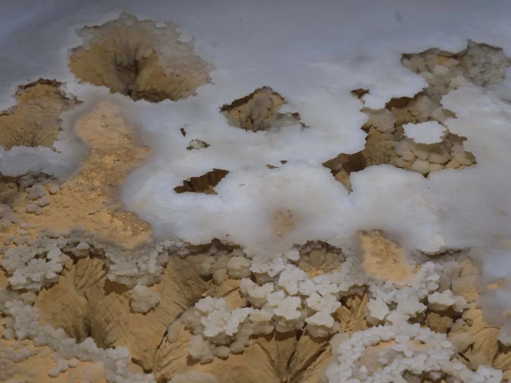 罕见!“地下水晶宫”被发现 罕见!“地下水晶宫”被发现