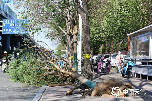 全国近500国家观测站极大风破纪录 大风还将刮多久？