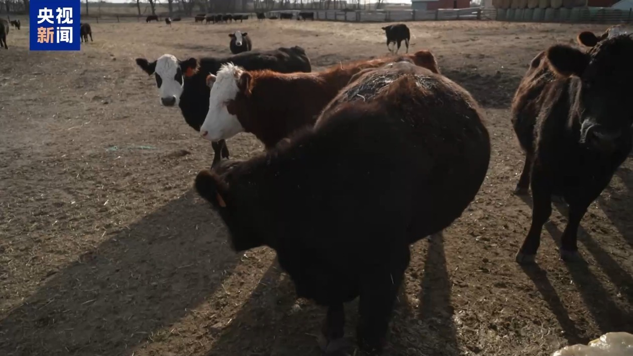 美国滥施关税波及本国农业 涉多个特朗普票仓地区 美国滥施关税波及本国农业 涉多个特朗普票仓地区