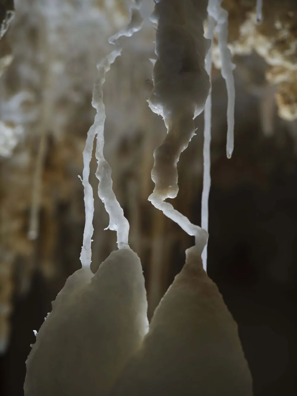 罕见!贵州发现4.8亿年“地下水晶宫” 罕见!贵州发现4.8亿年“地下水晶宫”