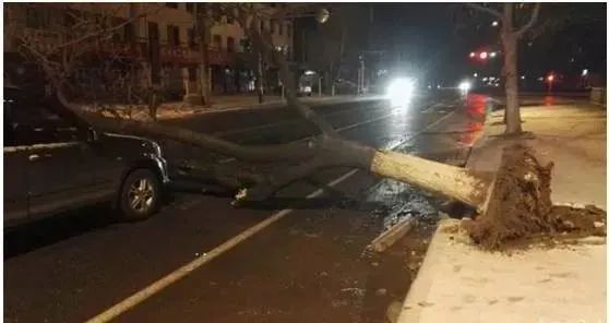 非必要 不外出！河南最大风力15级，今日强风仍将持续！