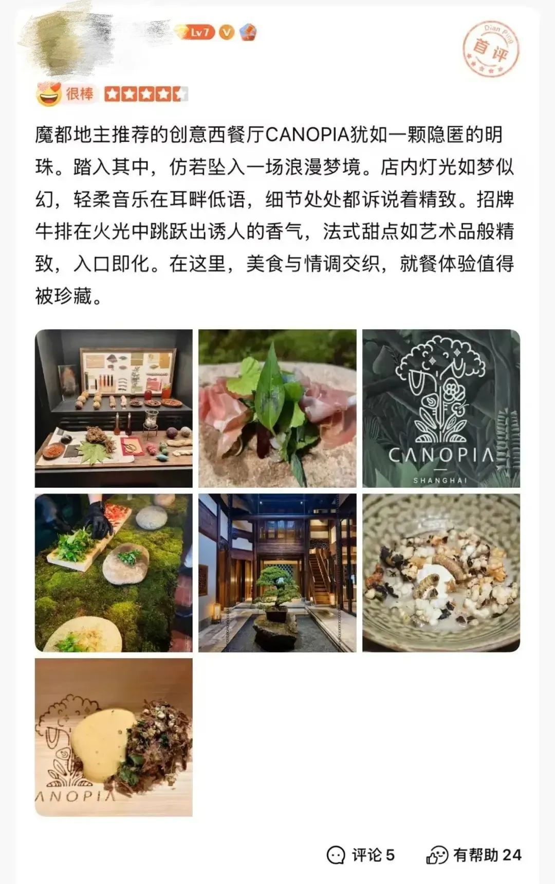 人均3888元的餐厅：吃盆栽叶子和大象粪便做的甜品？