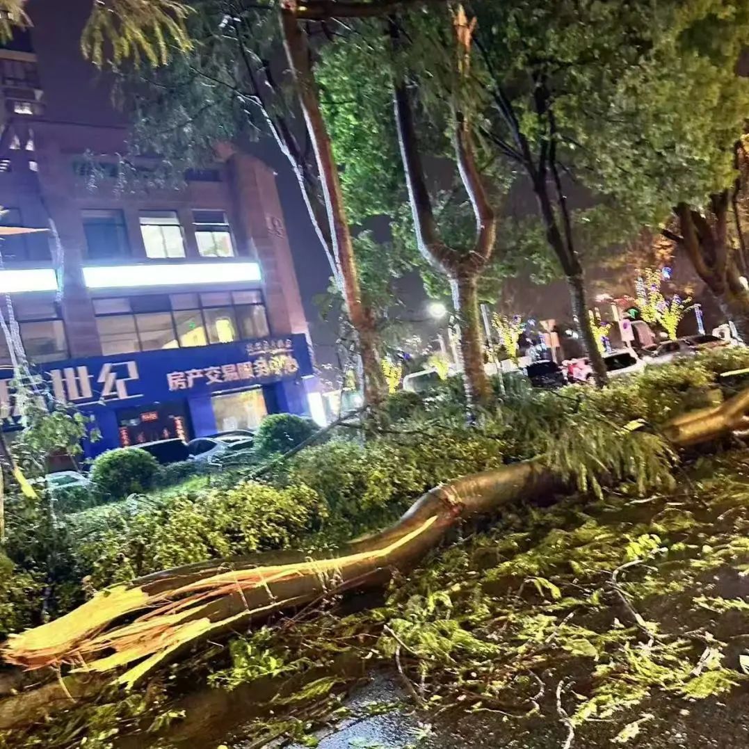 景区关闭、航线停航!福建多地预警连发!今天要出门的注意了! 景区关闭、航线停航!福建多地预警连发!今天要出门的注意了!