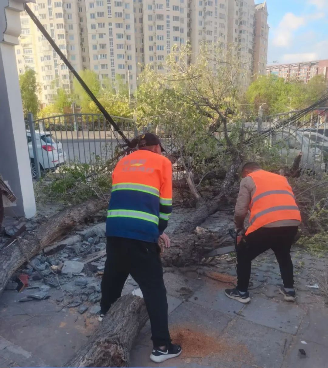 北京13个区出现10级以上阵风！倒了400多棵树，还有车辆被砸，厂房屋顶被吹翻