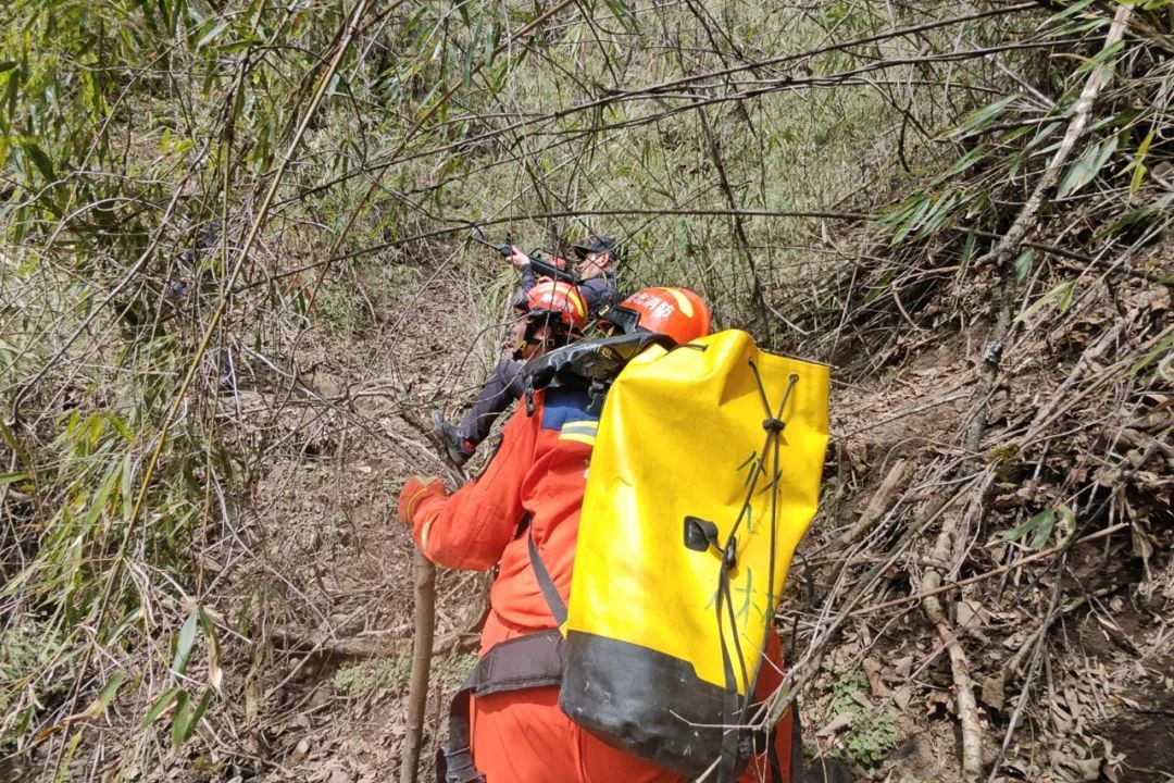 “一下子就冲了过来!”几百斤母熊带两崽围困4名工人约3小时 “一下子就冲了过来!”几百斤母熊带两崽围困4名工人约3小时