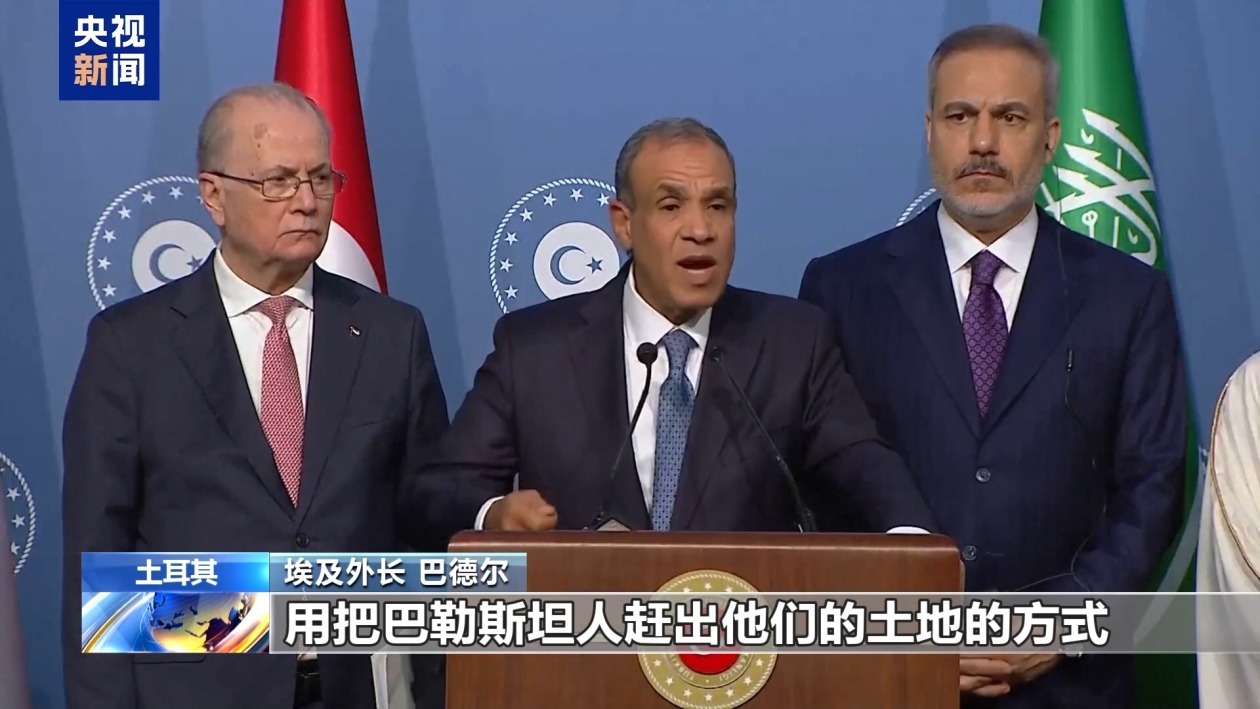 多国外长重申反对迫使加沙居民离开家园