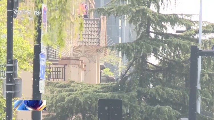 又到飞絮期 警惕身边的“白色火患” 又到飞絮期 警惕身边的“白色火患”