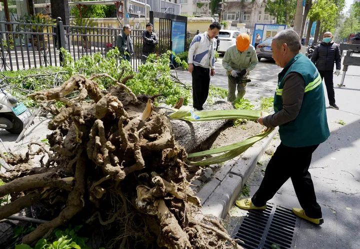 大风进入最强时段！停运、停航、景区关闭！多地紧急公告→