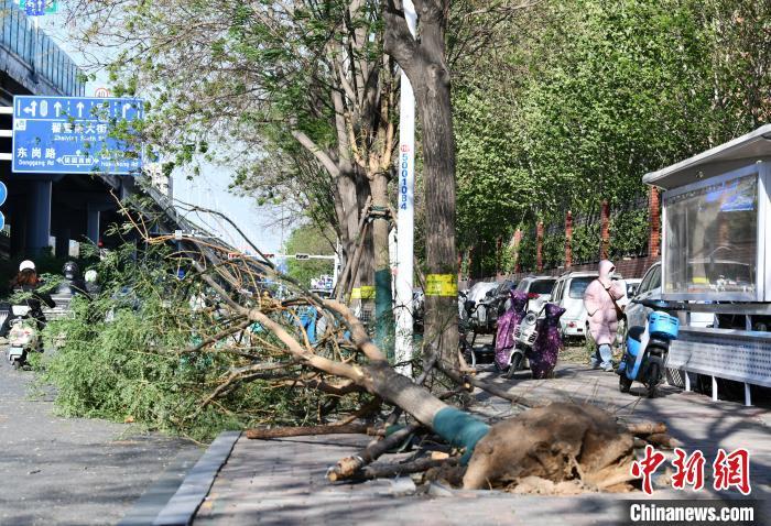 河北大部出现阵风6级以上大风天气 最大13级