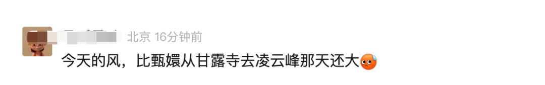 小狗吹成海豹！大风天刷屏，这名大二学生提前预测到了……