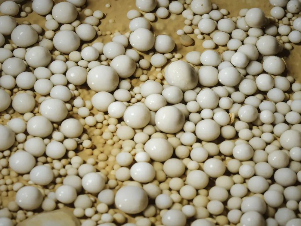 罕见!贵州发现4.8亿年“地下水晶宫” 罕见!贵州发现4.8亿年“地下水晶宫”