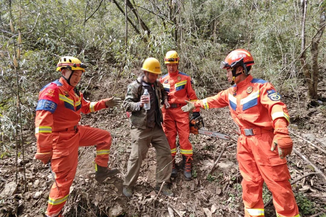 “一下子就冲了过来!”几百斤母熊带两崽围困4名工人约3小时 “一下子就冲了过来!”几百斤母熊带两崽围困4名工人约3小时