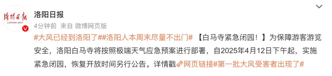 小狗吹成海豹！大风天刷屏，这名大二学生提前预测到了……