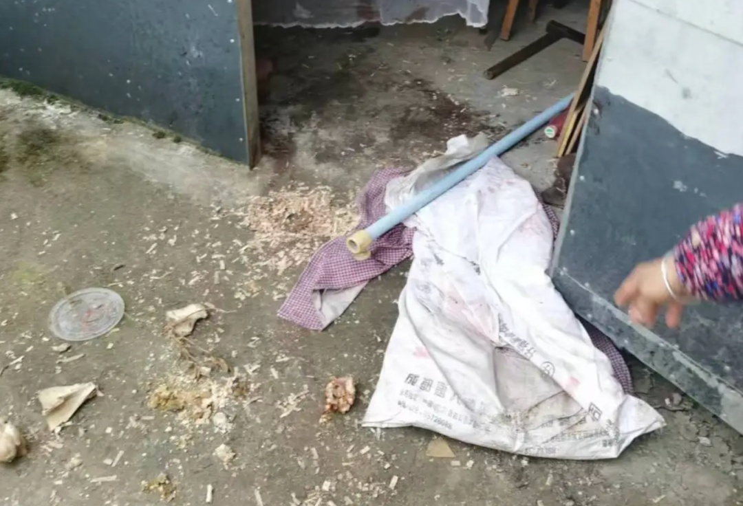 “一下子就冲了过来!”几百斤母熊带两崽围困4名工人约3小时 “一下子就冲了过来!”几百斤母熊带两崽围困4名工人约3小时