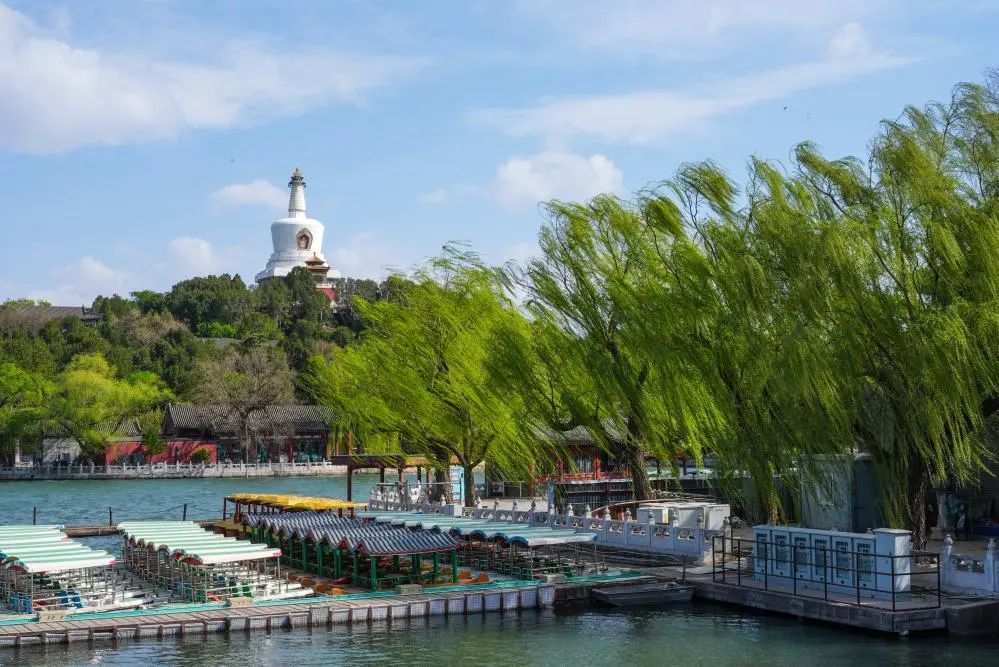 “大风似乎没那么大”?北京气象部门为您解读 “大风似乎没那么大”?北京气象部门为您解读