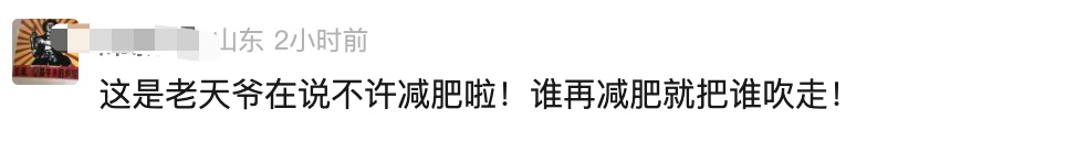 小狗吹成海豹！大风天刷屏，这名大二学生提前预测到了……