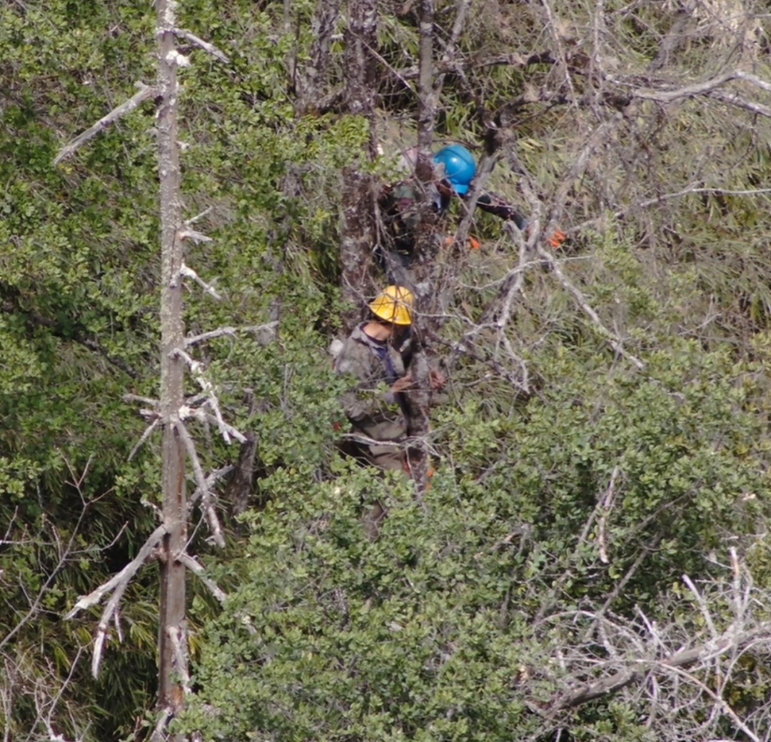 “一下子就冲了过来!”几百斤母熊带两崽围困4名工人约3小时 “一下子就冲了过来!”几百斤母熊带两崽围困4名工人约3小时