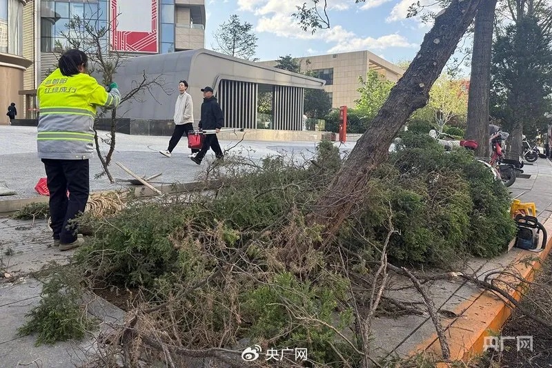 大风到哪儿了？各地最新消息！