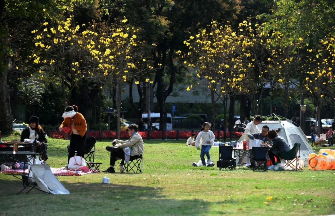 3月搜索量暴涨!年轻人的“春日标配”火了 3月搜索量暴涨!年轻人的“春日标配”火了
