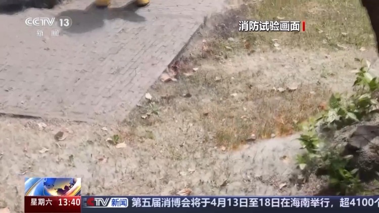 又到飞絮期 警惕身边的“白色火患” 又到飞絮期 警惕身边的“白色火患”