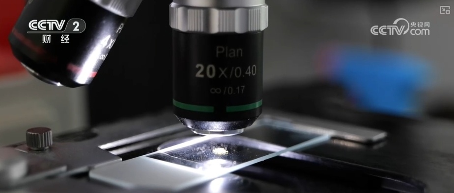 花经济“四季常开” “花卉+”创新升级激活文旅市场新动能 花经济“四季常开” “花卉+”创新升级激活文旅市场新动能