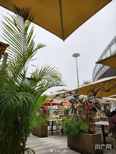 多图直击沙尘南下的广东