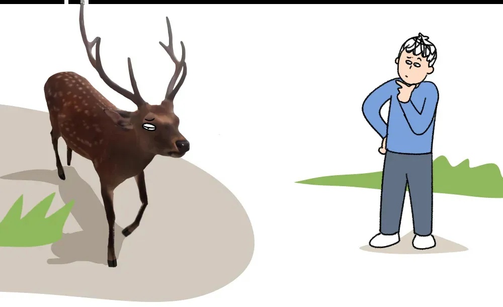 遇到这种诡异姿势的鸟，快跑，别好奇！