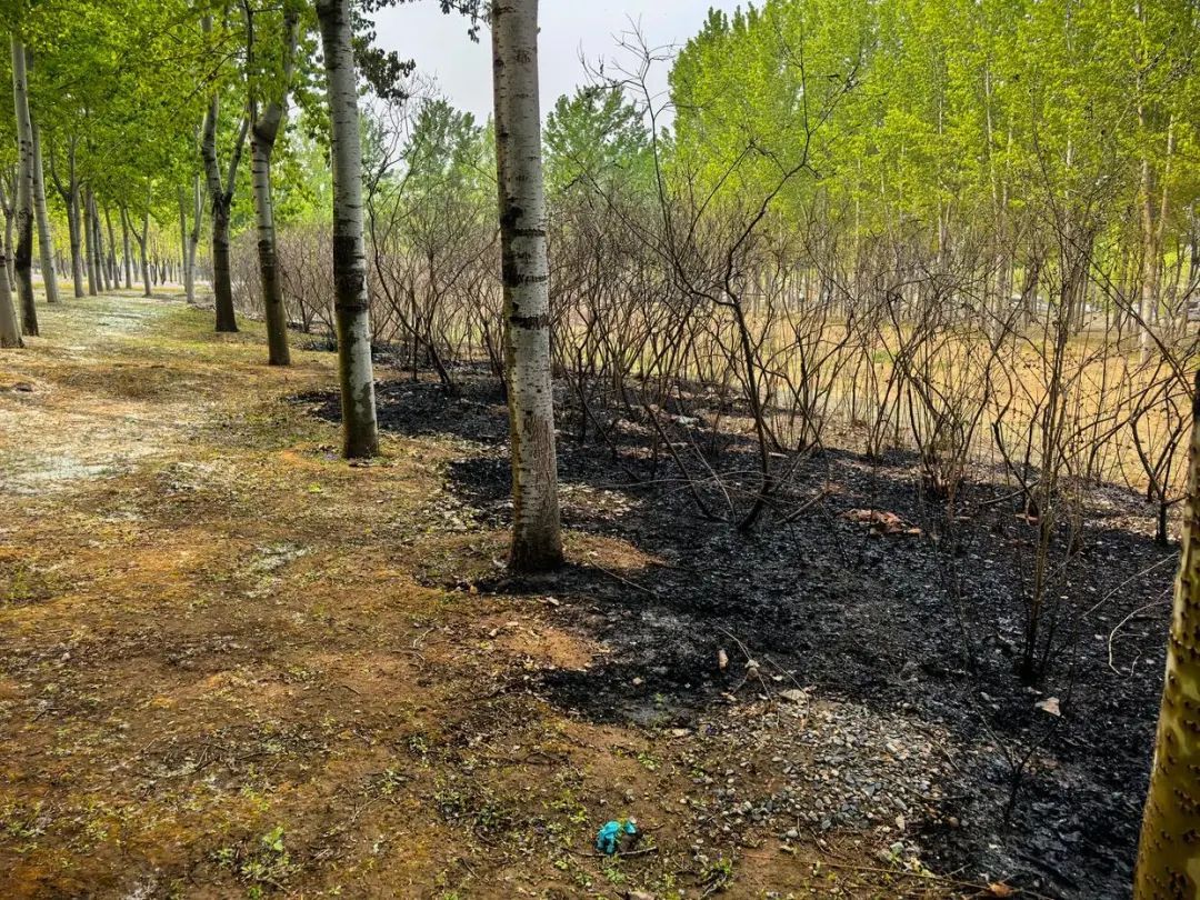 在北京“顶风”动火?拘!还不止一起… 在北京“顶风”动火?拘!还不止一起…