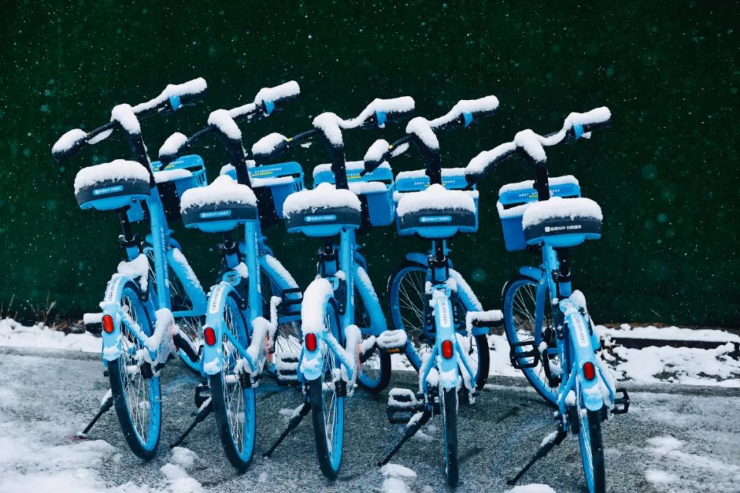 冲上热搜！长春限定版“桃花雪”刷屏