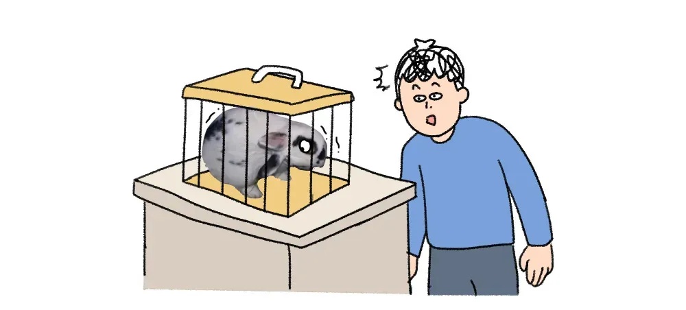 遇到这种诡异姿势的鸟，快跑，别好奇！