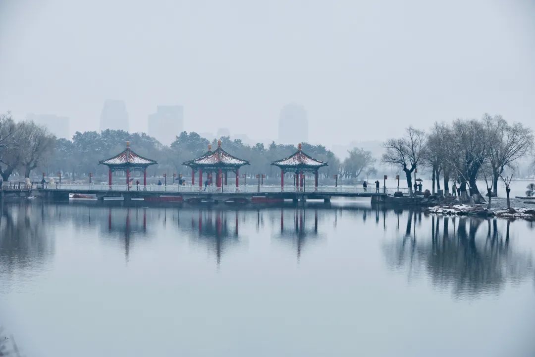 冲上热搜！长春限定版“桃花雪”刷屏