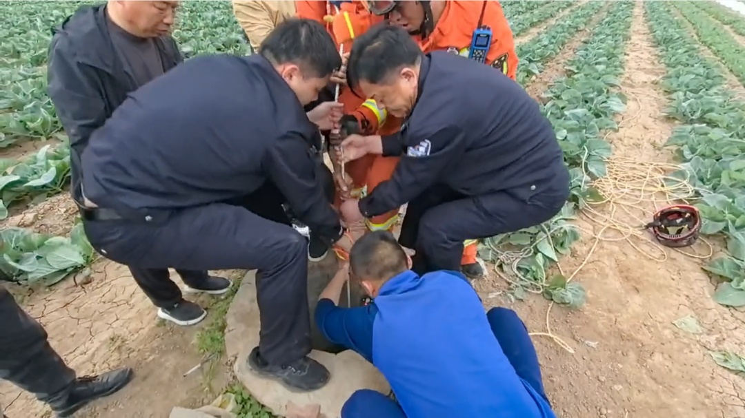 上不去?下不来?“上天下井”急坏消防员 上不去?下不来?“上天下井”急坏消防员