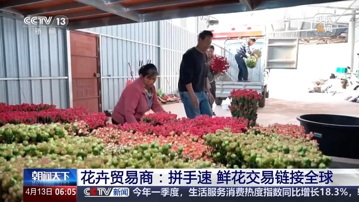 云南鲜花出口暴涨52.3%！韩国俄罗斯抢疯了