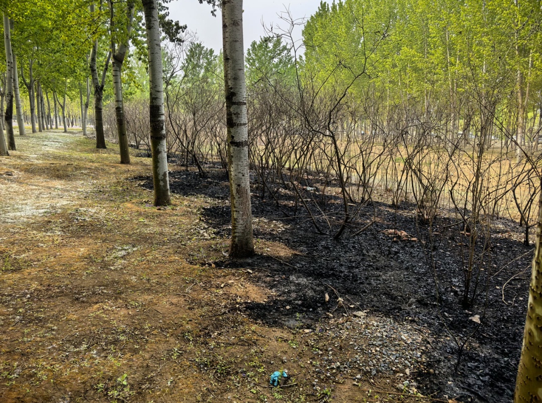 “我就点着玩……”警方:拘留10天! “我就点着玩……”警方:拘留10天!