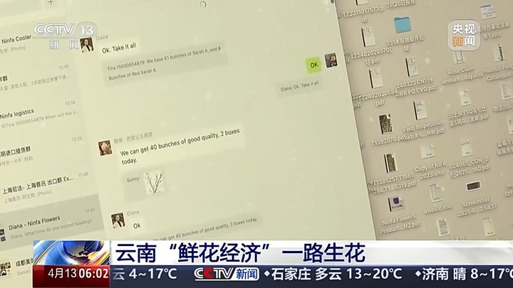 云南鲜花出口暴涨52.3%！韩国俄罗斯抢疯了
