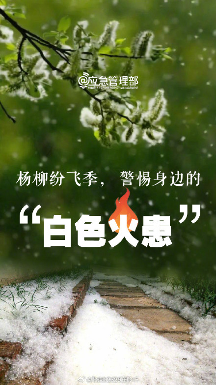 五字口诀助你全方位防护飞絮 五字口诀助你全方位防护飞絮