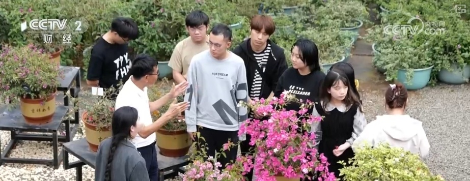 花经济“四季常开” “花卉+”创新升级激活文旅市场新动能 花经济“四季常开” “花卉+”创新升级激活文旅市场新动能