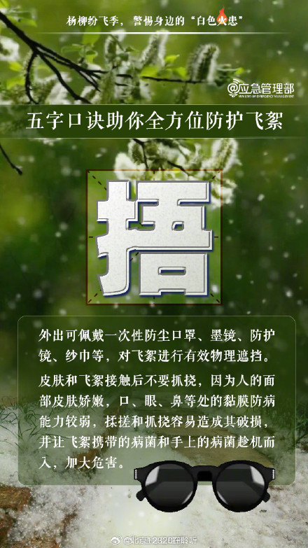 五字口诀助你全方位防护飞絮 五字口诀助你全方位防护飞絮