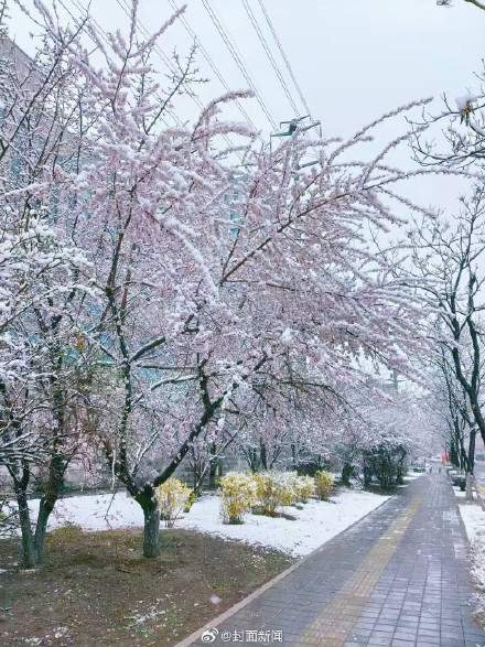 秦岭连续3次失守，把沙尘吹到了海南