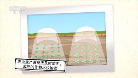 大风是怎么形成的