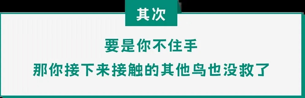 遇到这种诡异姿势的鸟，快跑，别好奇！