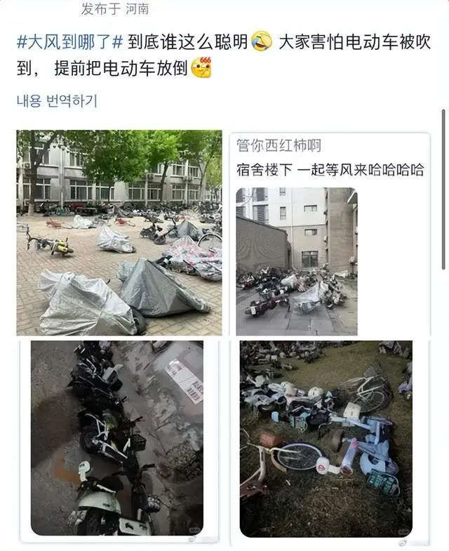 大风天气，北京多个车主将电动车提前“躺倒”避险！当地回应